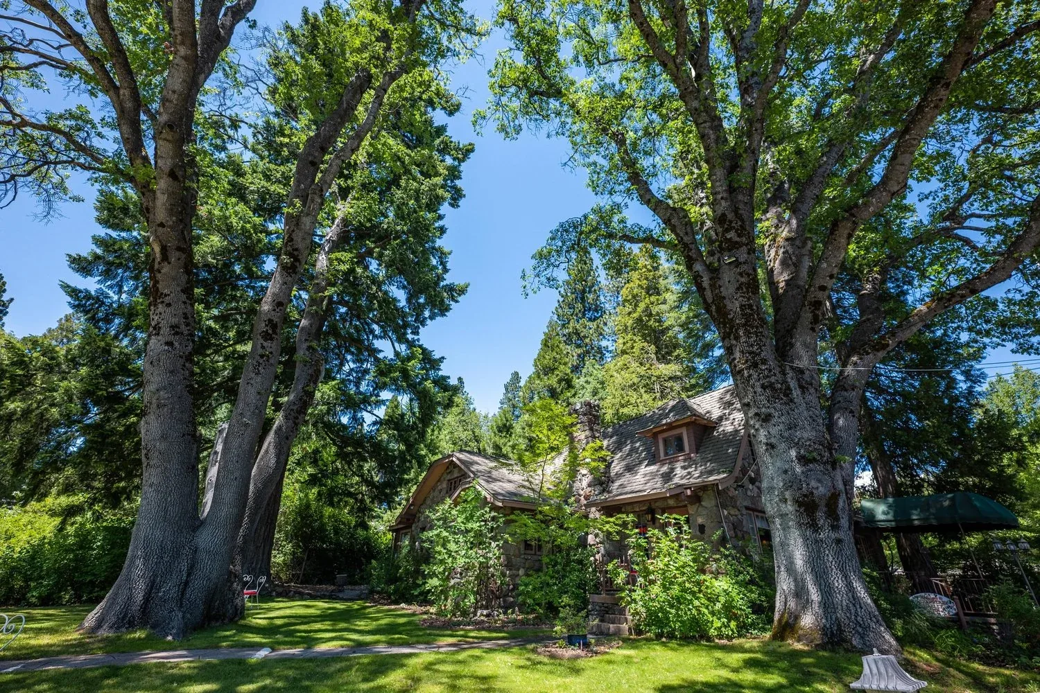 The stone lodge beneath towering garden trees