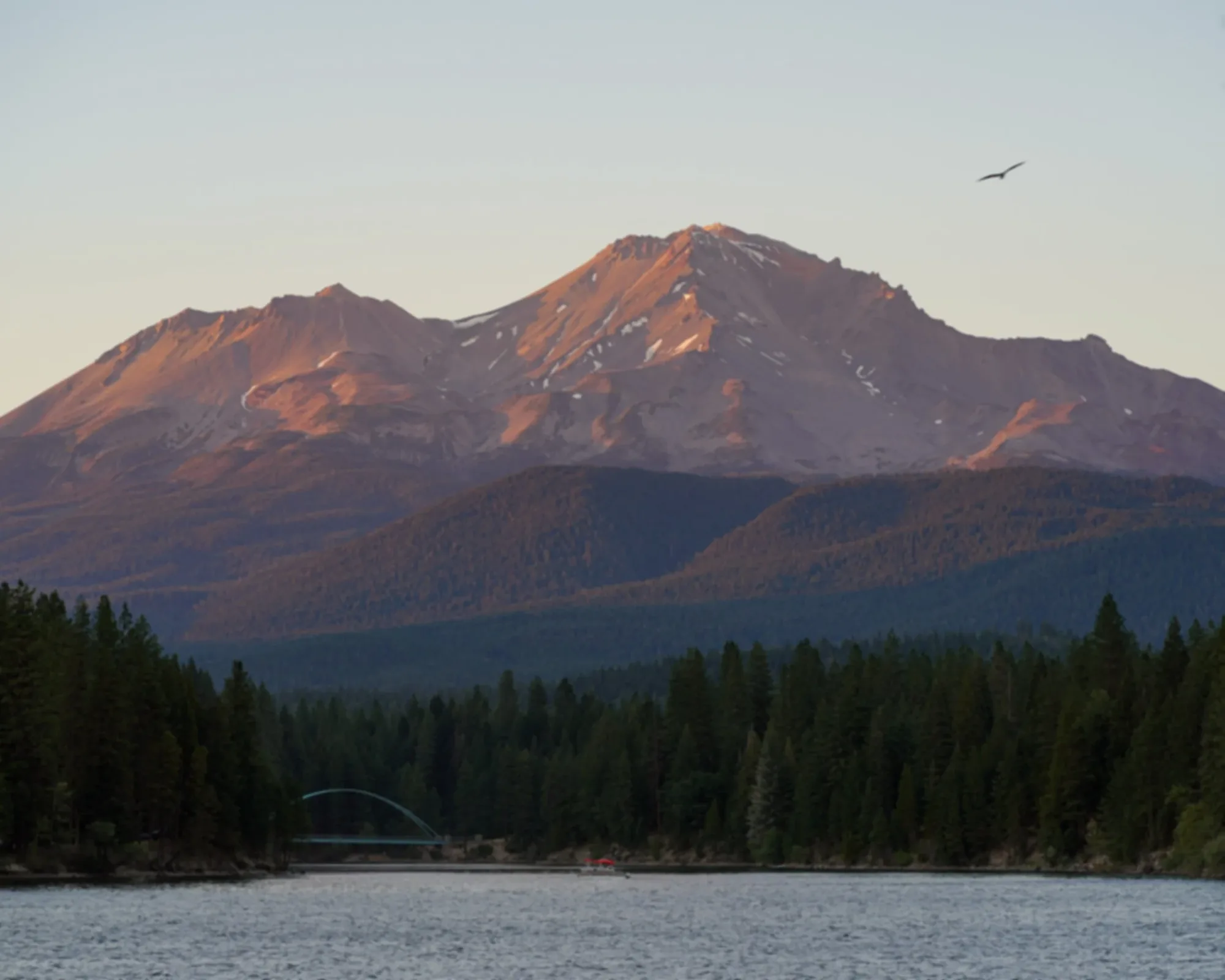 Mount Shasta above the forest in evening light